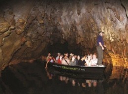 Auckland to Rotorua via Waitomo Caves Tours