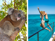 Wildlife Warrior & Australian Wonders - Brisbane, Port Douglas & Sydney