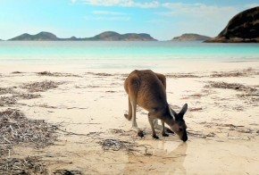 Discover the Beauty of Western Australia