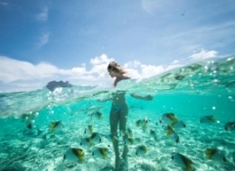Bora Bora Eco Snorkel Cruise with Snorkeling with Sharks and Stingrays