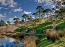 Hobbiton Express Tour - Auckland to Rotorua - One Way