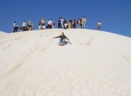 Pinnacles Desert with 4WD, Kangaroos, Koalas & Sand Boarding