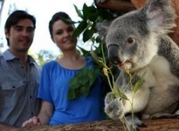 Taronga Zoo Wild Australia Experience