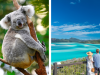 Sunshine State Explorer - Gold Coast, Brisbane, Hamilton Island, Cairns